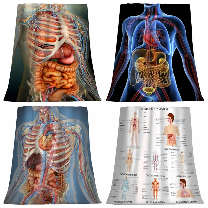 

Body 3D Anatomy Atlas Human Internal Whole Organs And Bones Perspective Flannel Blanket By Ho Me Lili Fit For All Seasons Use