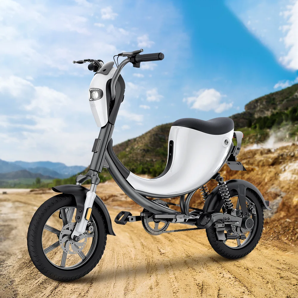 Electric Bike Lithium Battery, 48V 10AH Portable Smart Scooter Power Supply, High Capacity Long Life E-Bike Battery Pack