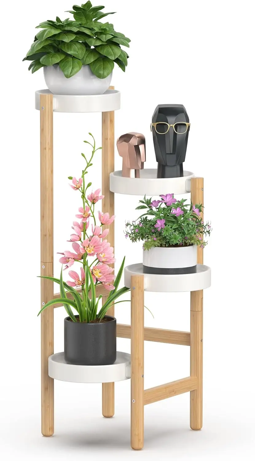 

Plant Display Rack