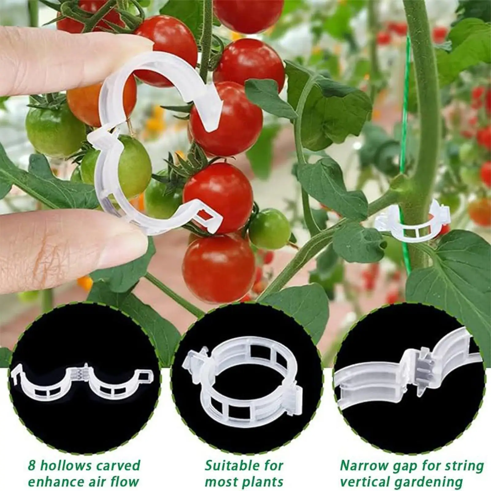 

Tomato Vine Hooks Garden Hooks To Support Climbing Plants 40 Pieces Stem Fixing Holder With 40 Clips For Eggplant Watermelon