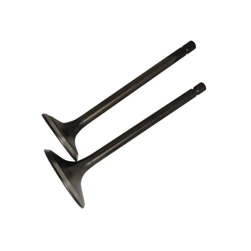 Motorcycle Engine Valves Intake Exhaust With Seals for Honda Lifan Loncin Zongsheng Dayang CG125 CG150 CG200 CG250 Engine Valve