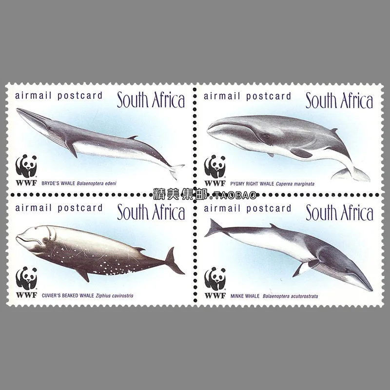 4 PCS, South Africa, 1998, Animal Protection, Whales, WWF, MNH