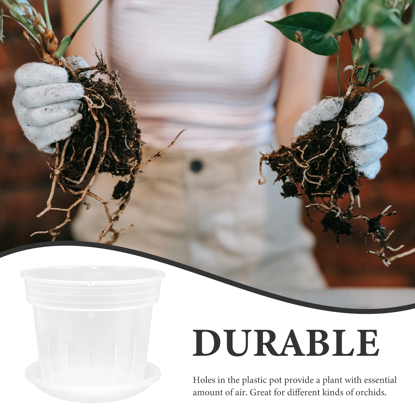 

Phalaenopsis Flower Pot PP chid Planter Holes for Succulents Germination Cuttings Transplanting Plastic Garden Nursery Pots Home