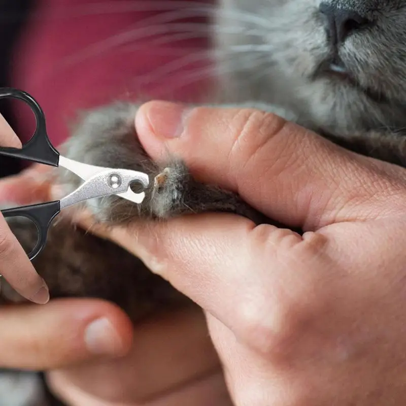 Cat Nail Scissors Pet Dog Nail Clippers Toe Claw Trimmer Professional Pet Grooming Products For Small Puppy Dogs Cat
