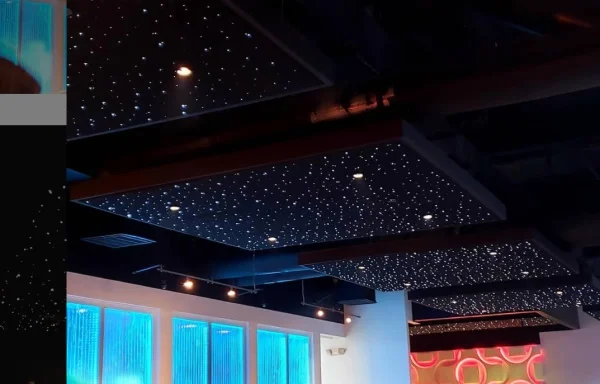 LED Star Ceiling Panel Optic Starry Sky Ceiling