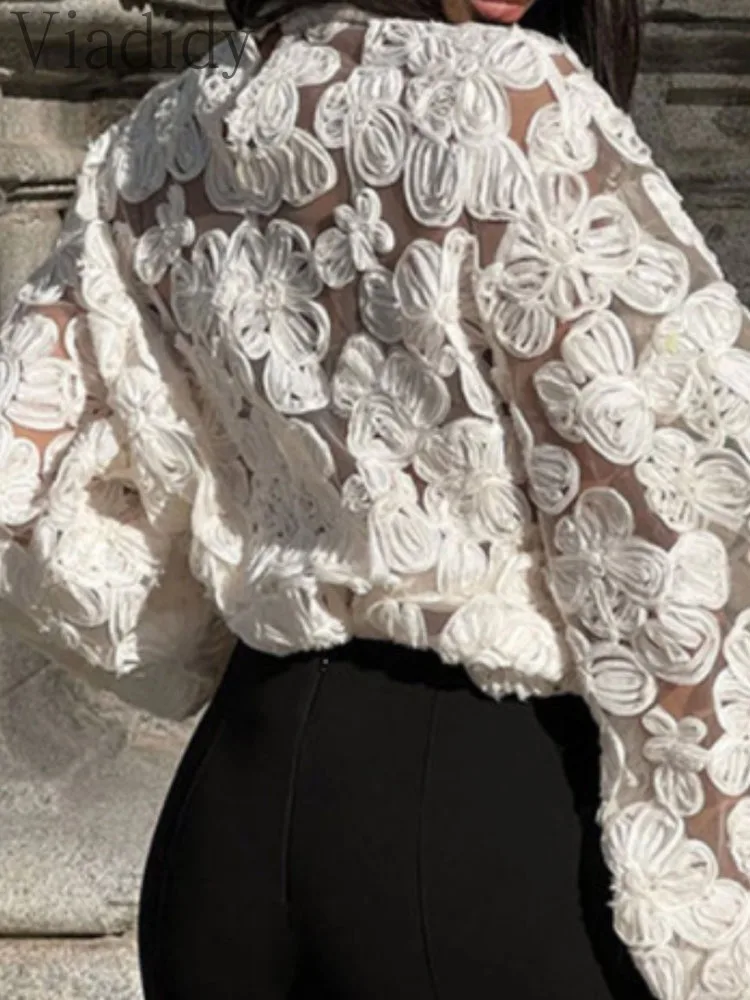 Camicetta pullover ricamata con maniche a lanterna in rete trasparente trasparente tinta unita sexy da donna