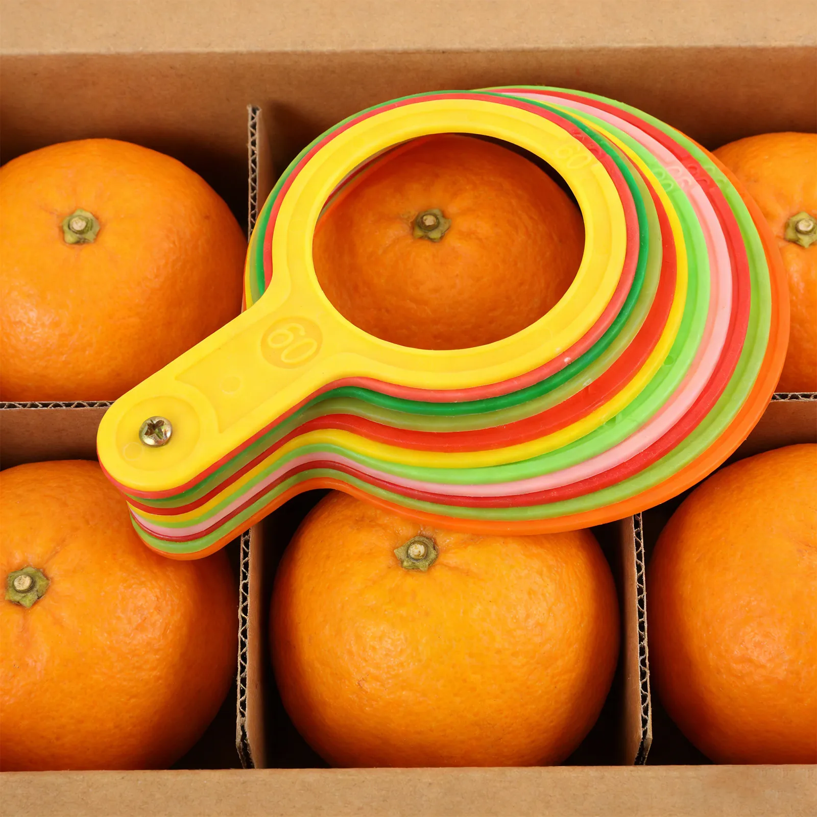 11Pcs Fruit Measurement Gauge - 60-110Mm Diameter Ruler for Vegetable Sizing - Plastic Grading Circle Tool for Orchard Market