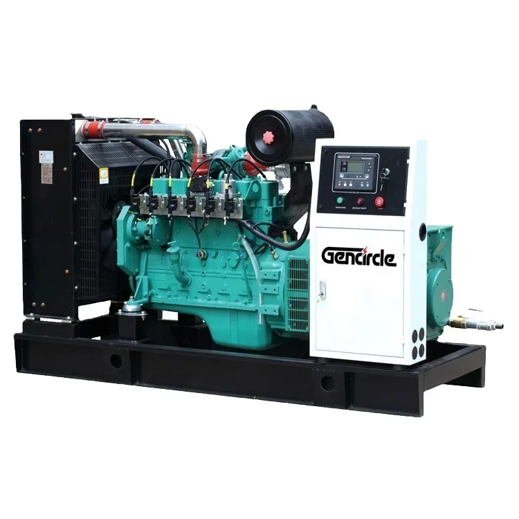 50-60Hz Generator 20kva 30kva 50kva Open Soundproof Type LPG/Naturals Genset