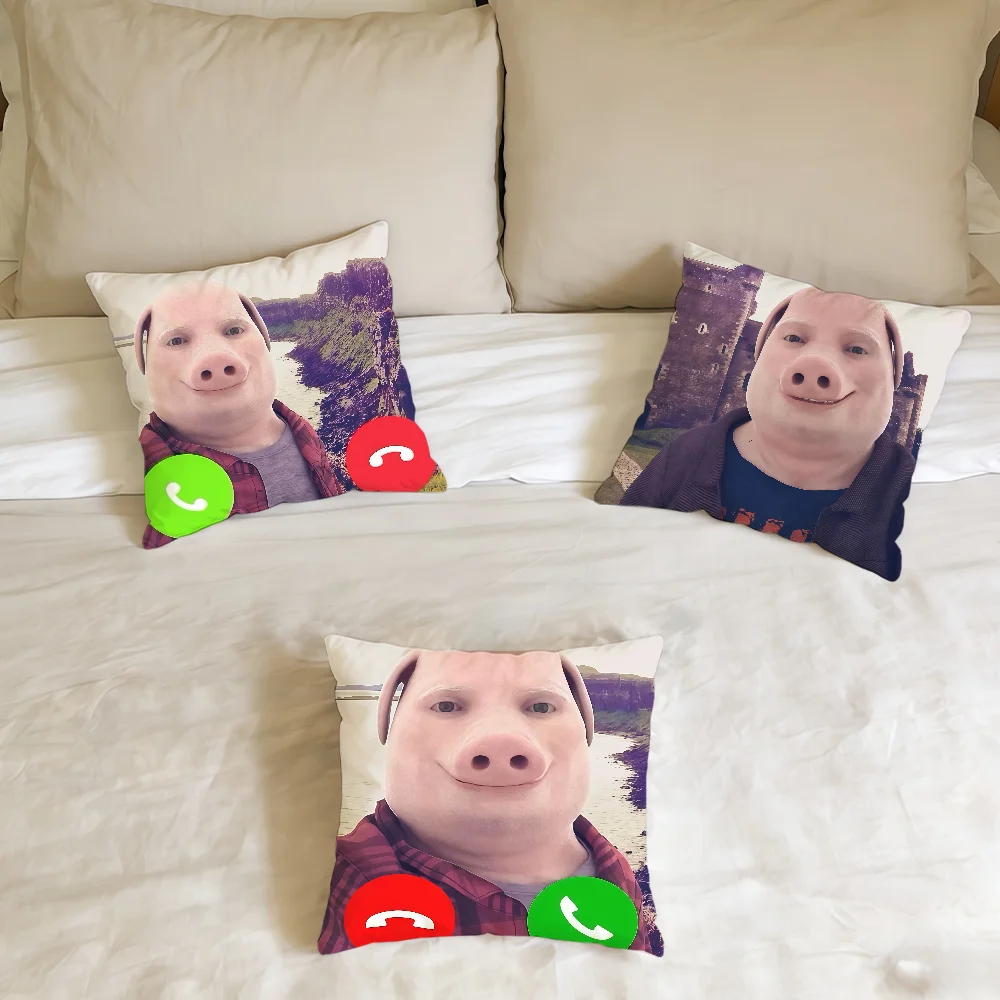 

cushion cover Home Is Office Birthday Anniversary Calling Gifts Soft Skin Pork Friendly Cushion John Cover