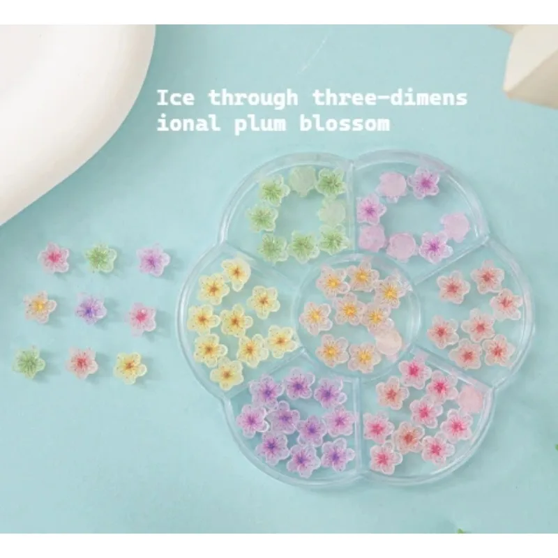 Roses séchées pour Nail Art, 30 pièces, accessoires en résine, Roses rouges, fleurs de Frangipanier colorées, feuilles de couleurs mélangées, camélia, décorations pour ongles