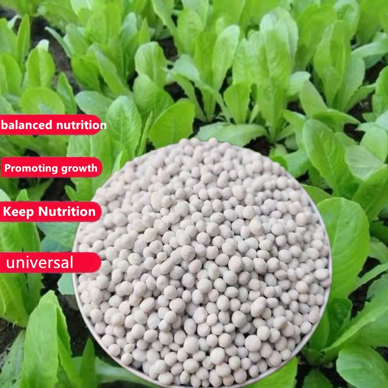 50g Garden Compound Fertilizer NPK Granular General Bonsai Plant Fruit Vegetable Flower Fertilizer Blueberry Fertilizer