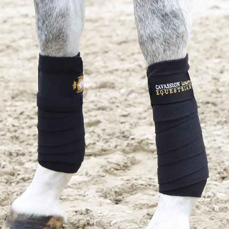 Embroidered horse leggings, knight rider horse gear