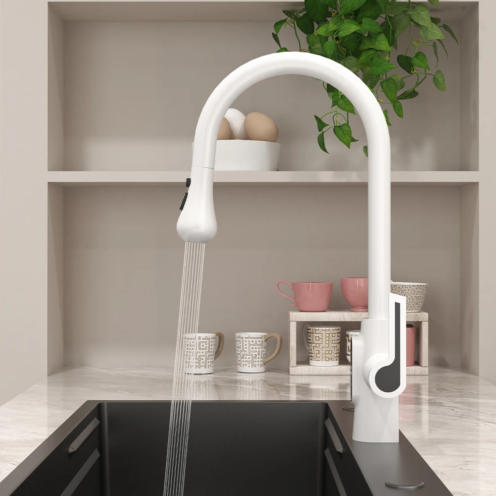 

SKOWLL 360° Rotatable Pull Out Kitchen Faucet, Single Handle Hot and Cold Kitchen Sink Mixer Tap with 2 Function Sprayer Head