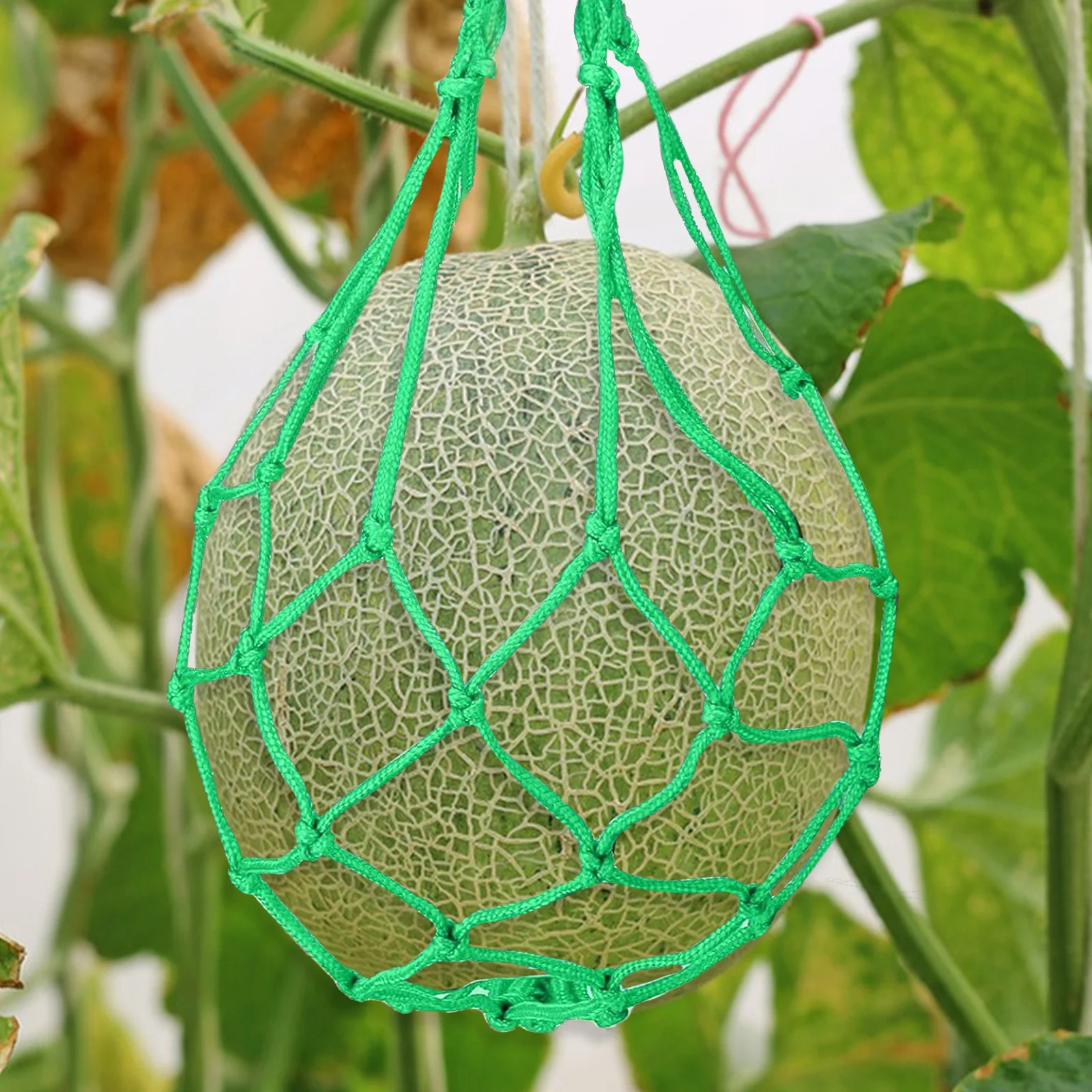 6 قطعة مهد البطيخ لحديقة البطيخ أرجوحة صافي دعم الفاكهة الرافعة Cantaloupe حقيبة الفضاء توفير دائم شبكة تعريشة النبات #1