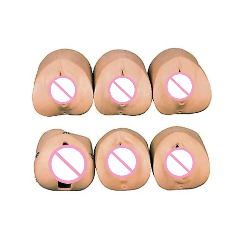 

unique Hospital Education Medical Teaching Prenatal Cervix Changes and Birth Model Labor Delivery Module