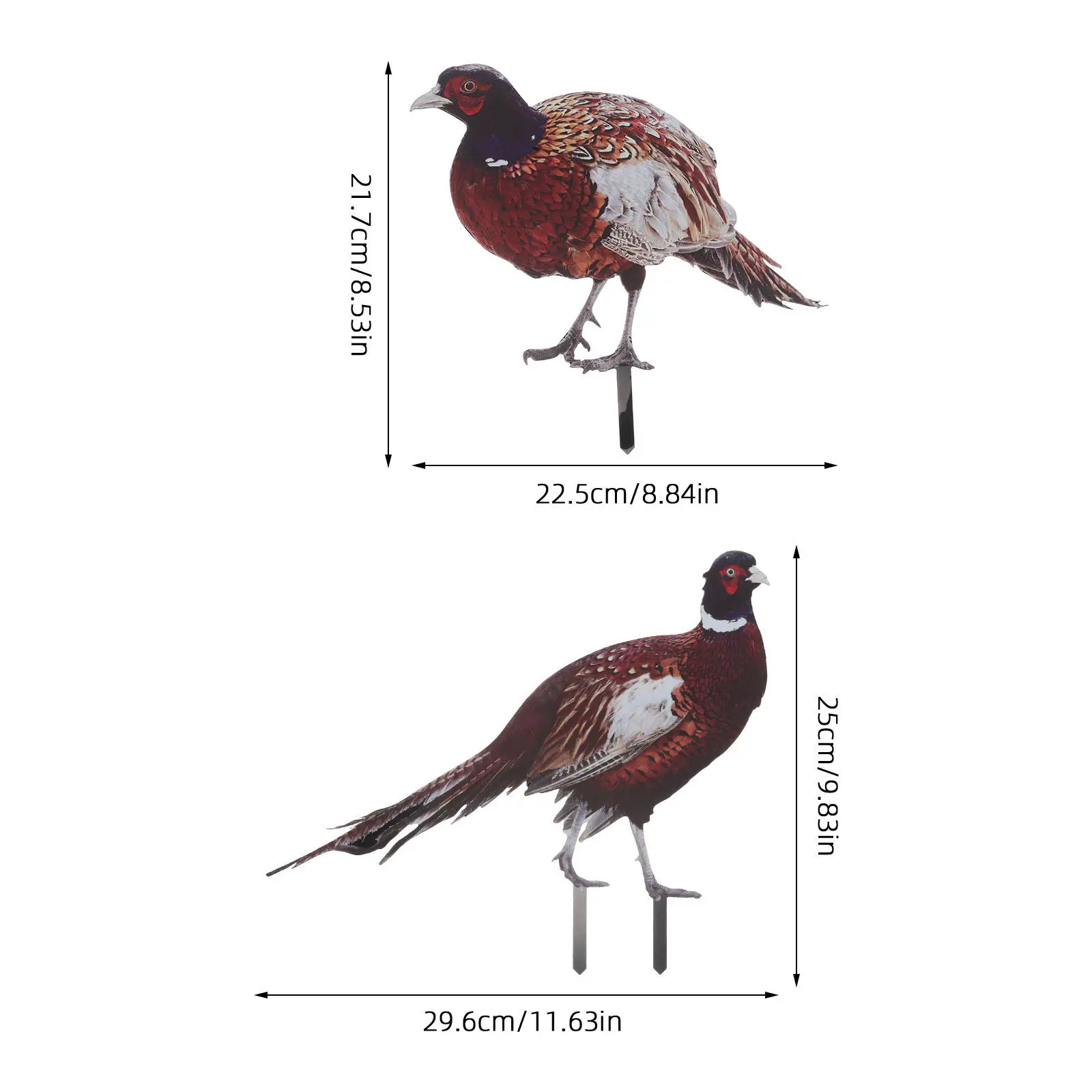 2Pcs Pheasant Garden Stake Realistic Lifelike Outdoor Lawn Decoration Yard Ornament Acrylic Chicken Garden Decorative Plug view 6
