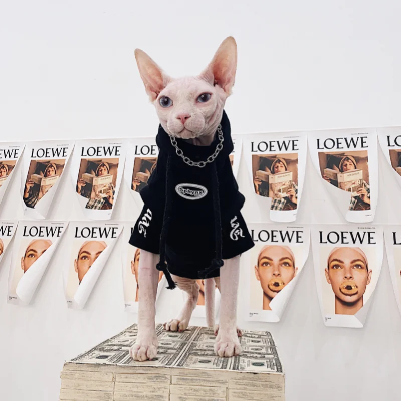 Fashion Spring Autumn Sphynx Devon Hairless Cat Clothes Cotton Fleece Hoodie for Devon Rex Cartoon Sweatshirt in Autumn