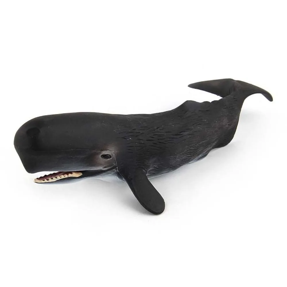 محاكاة نماذج للحيوانات البحرية الحوت الحيوانات المنوية تحت الماء الحوت البيولوجي التماثيل حيوانات المحيط الصلبة البلاستيكية الحياة البحرية الشكل