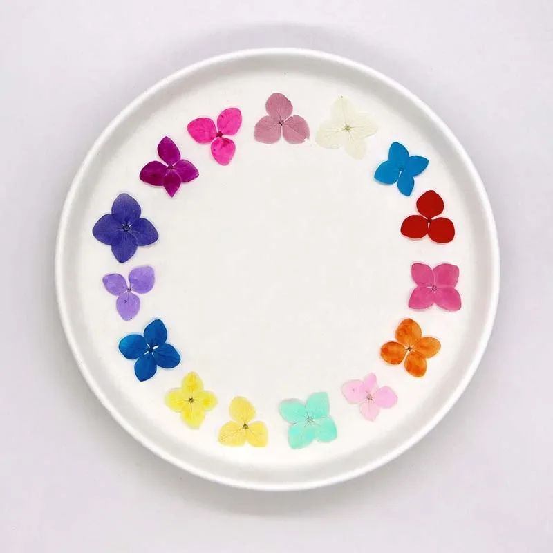 1.5~2.5CM/24PCS Real Natural Dried Pressed Hydrangea Flower Head,Dry Press Flowers Petals For Epoxy Resin Jewellery,Phone Case