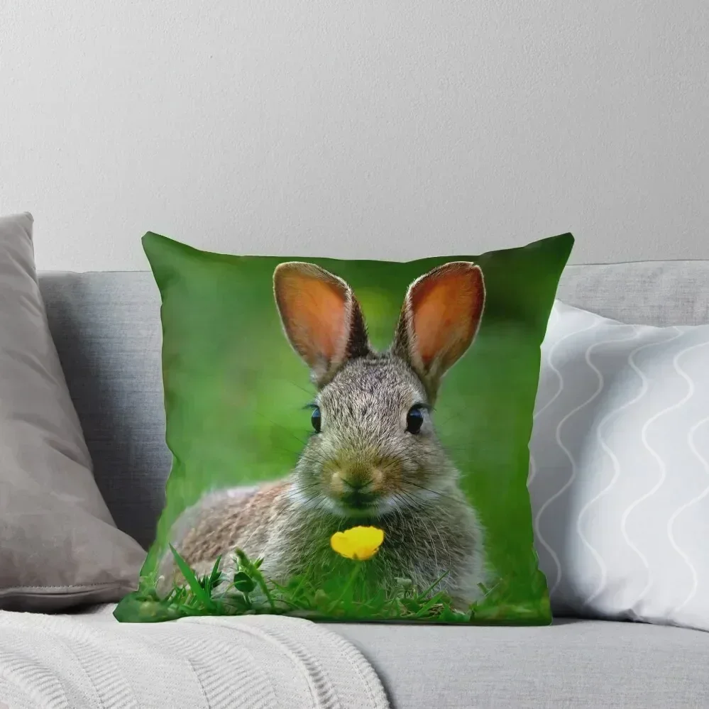 

Baby Rabbit Throw Pillow Pillow Decor Cushions Home Decor Decorative Cushion Christmas Pillows pillow