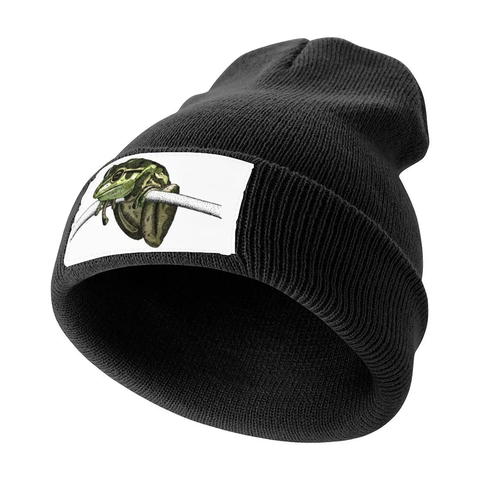 Motorbike Frog hanging around Knitted Cap Snap Back Hat Hat Man For The Sun Male Women's