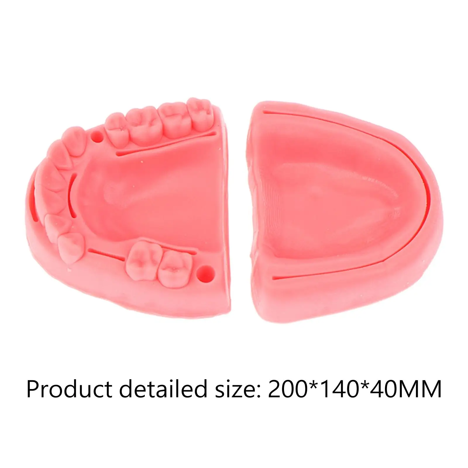 Oral Suturing Training Model Exercise Training Model for Nurses Vets Doctors