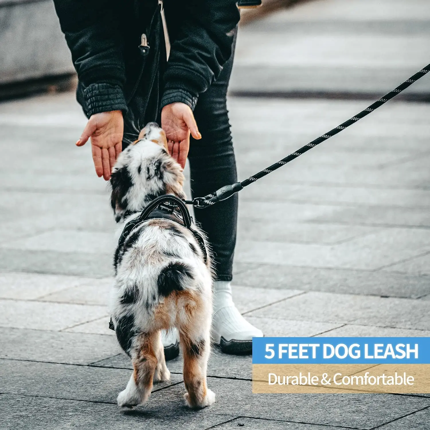 Correa de nailon fuerte para perros pequeños, medianos y grandes, correas para mascotas con cómodo mango acolchado reflectante