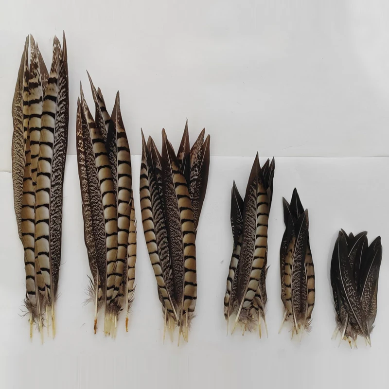 10Pcs/Lot 10-40cm Lady Amherst Pheasant Tail Feathers Wholesale Loose Feathers DIY Jewelry Stage Performances Decoration