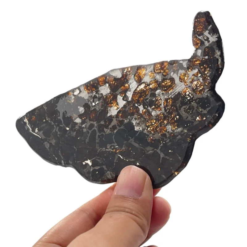 Authentic Kenya Pallasite Meteorite Slab with Translucent Olivine Inclusions Rock for Astronomy Gift & Jewelry Making QA856