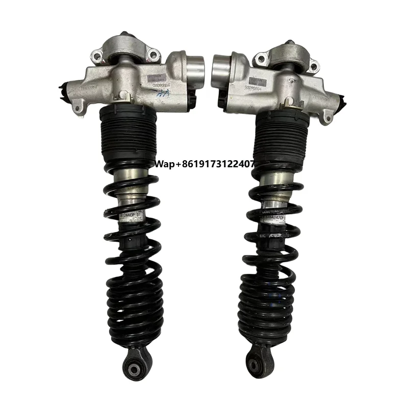 

Амортизатор передней подвески (стойка) для 540C, 570S, 13B1245CP, 13B1244CP