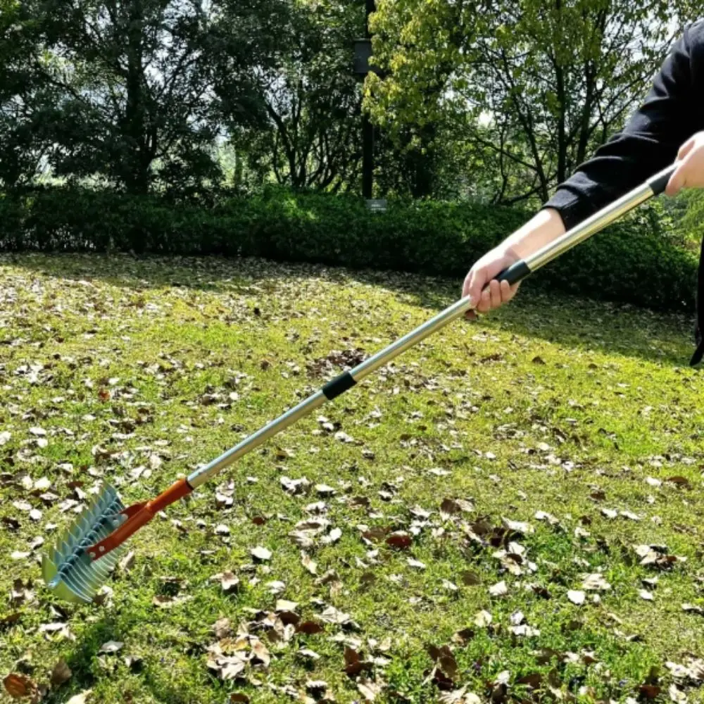 

Stainless Steel Detachable Lawn Thatch Rake Removable Durable Couch Grass Rake Combs Turf Versatile Thatch Rake Garden Use
