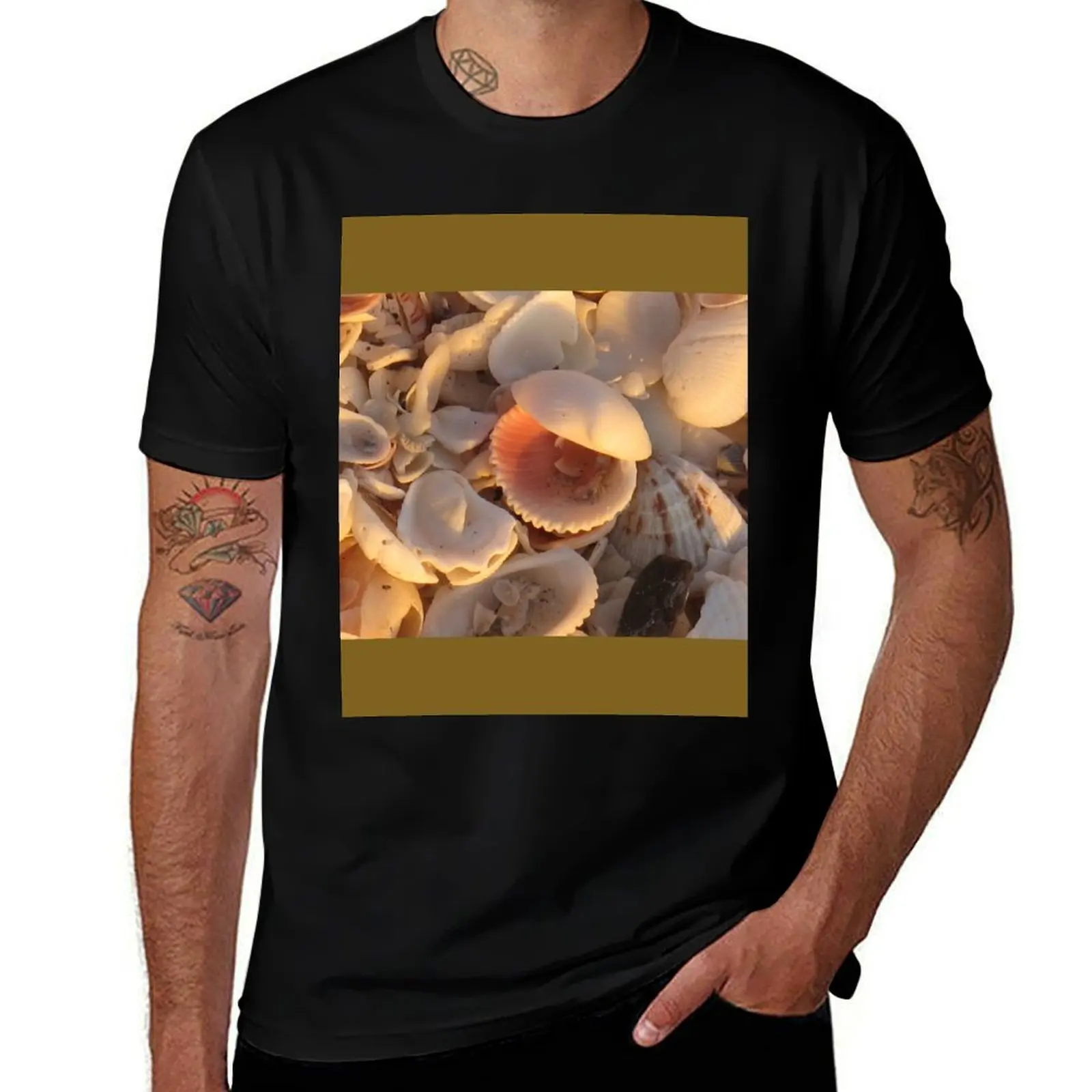 

Shells at Sunset T-Shirt cotton t shirt pack t shirts for man pack cotton