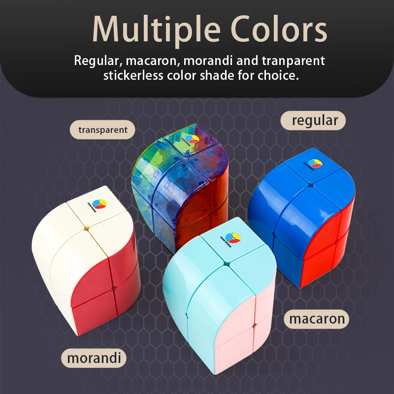 Diansheng Penrose 2x2 Magische Kubus 2x2x2 Cubo Magico Dual Systeem Educatief Cubo Magico puzzel Speelgoed voor Kinderen