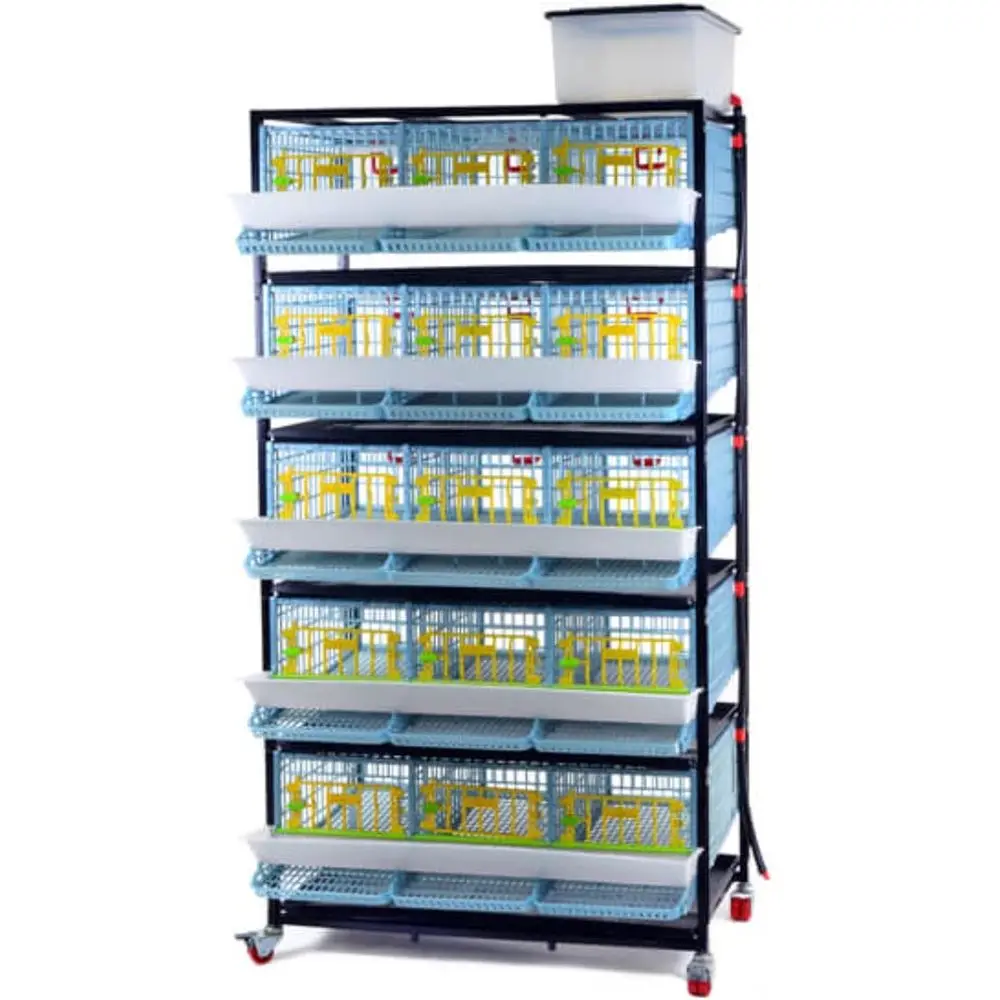 Jaula para Codornices de 5 Niveles para Interiores, Apilable, Fácil de Limpiar, Resistente a la Oxidación, Plástico Lavable, Divisores Extraíbles, Bandejas para Huevos Extraíbles