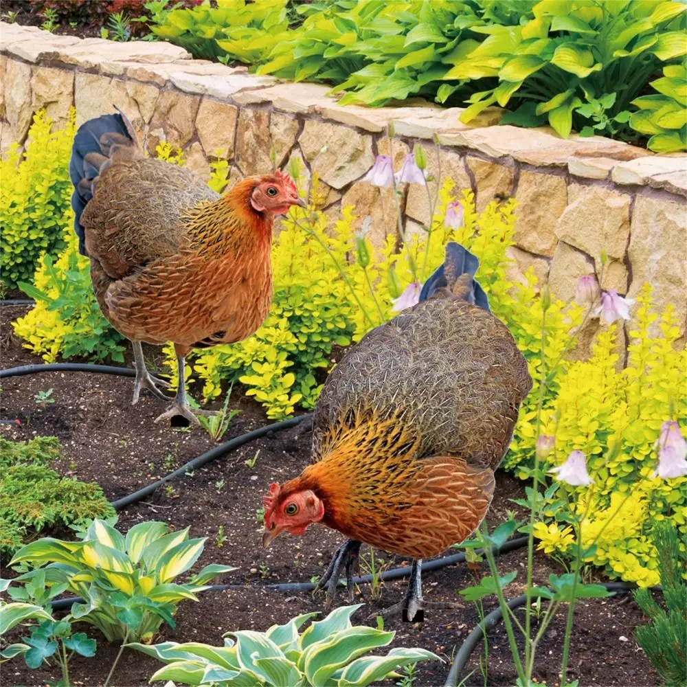 Realista acrílico frango ornamento, 3d frango, jarda arte, confiável animais escultura, ao ar livre, jardim, DIY