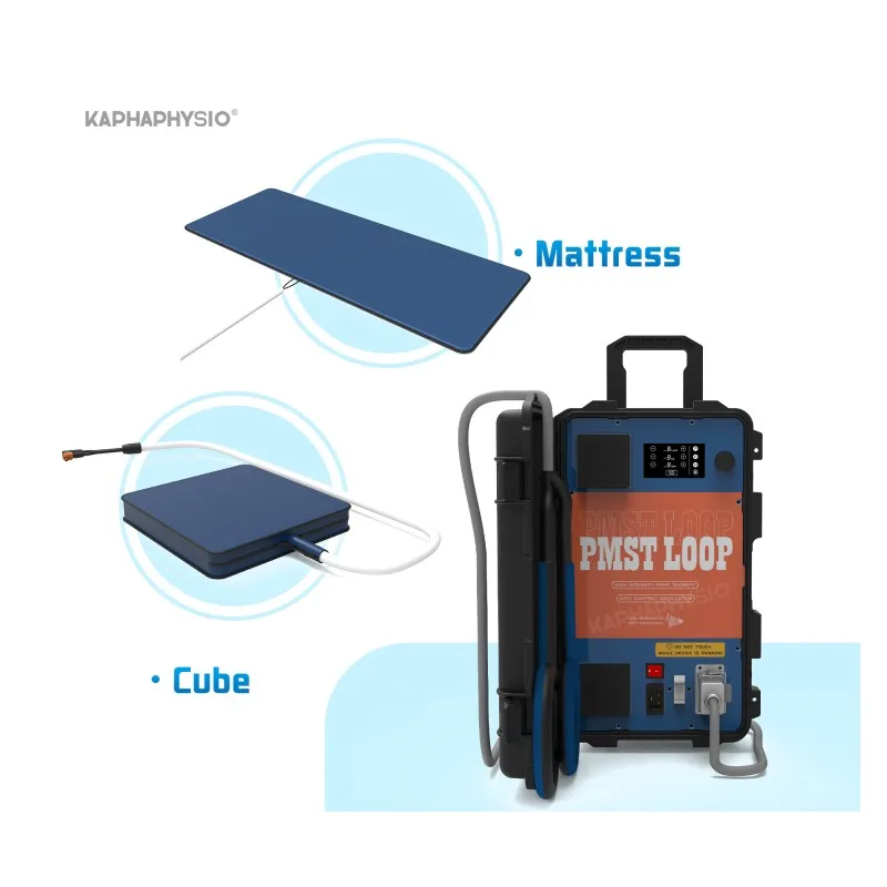 New Arrival PEMF Therapy Magnetic Machine with PEMF Mat Cube and TMS for Physiotherapy