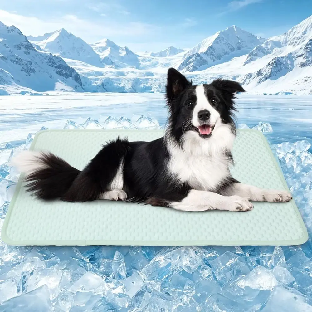 

High-Quality Cooling Mat for Pets - Large Size, Washable, Breathable, Suitable for Dogs and Cats (Green, 27.5x39.3 in)
