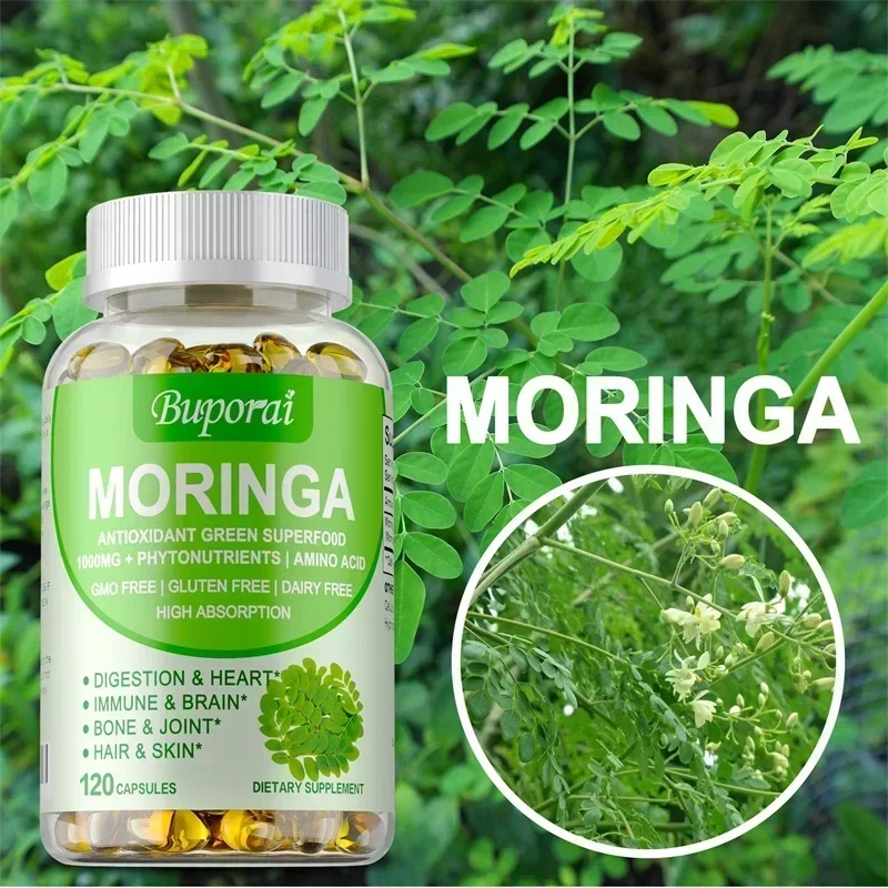 Cápsulas Moringa: aumenta el metabolismo, apoya la reparación de las células dañadas, mejora el estado de ánimo, aumenta la energía y el sistema inmunológico