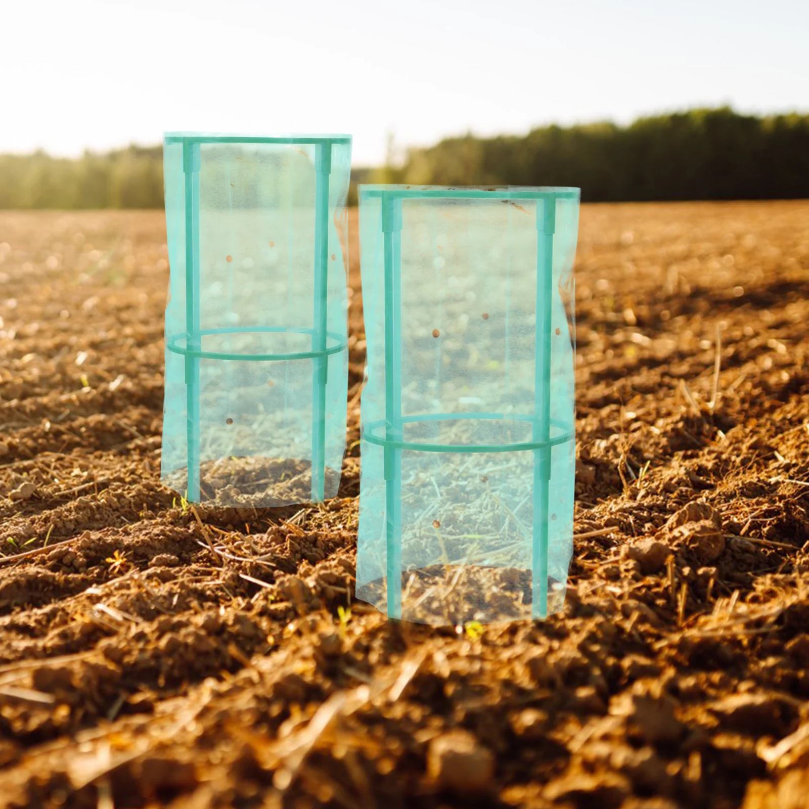 

2Pcs Plant Frost Protection Covers Winter Plant Cover Transparent Insulated Film Vegetable Garden Bed Protector Lightweight