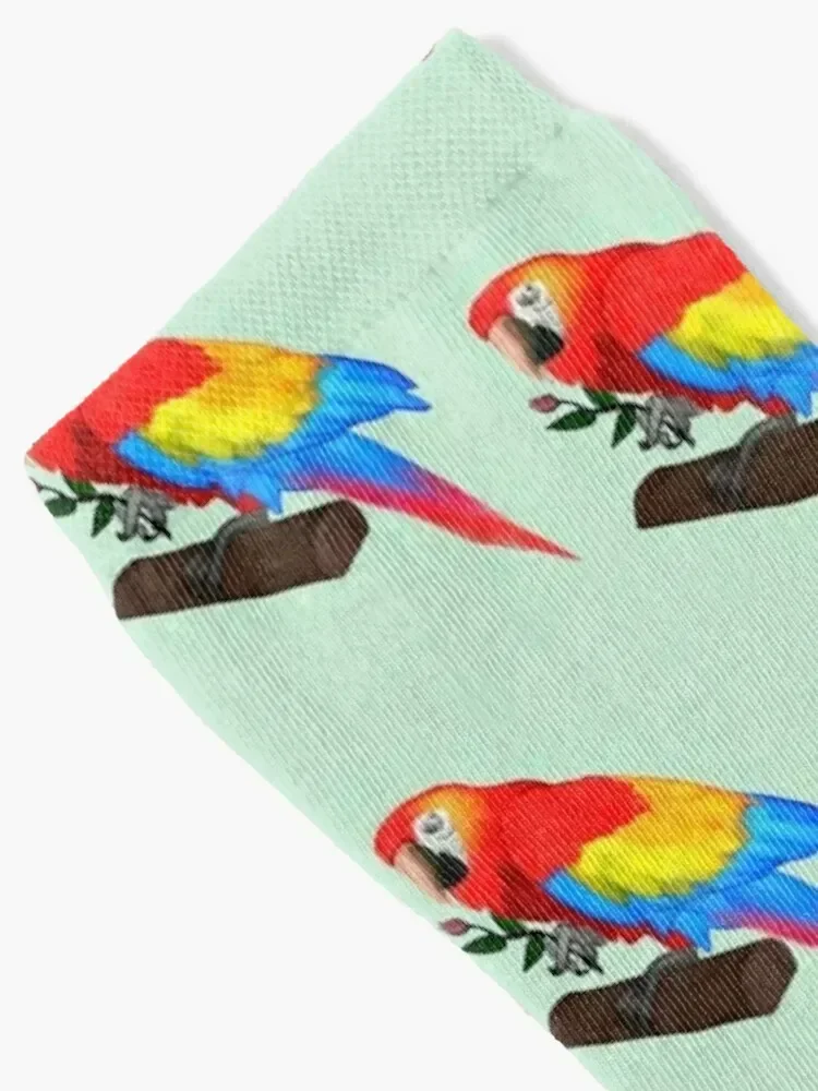 جوارب Scarlet Macaw Socks لكرة القدم الرائعة للرجال والنساء