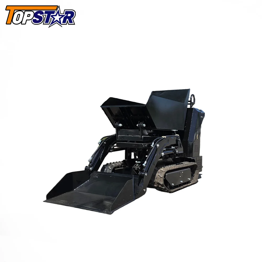 Mini caminhão basculante personalizado, 700kg, euro 5 epa, aprovado, alta qualidade, entrega rápida, fábrica, personalizado