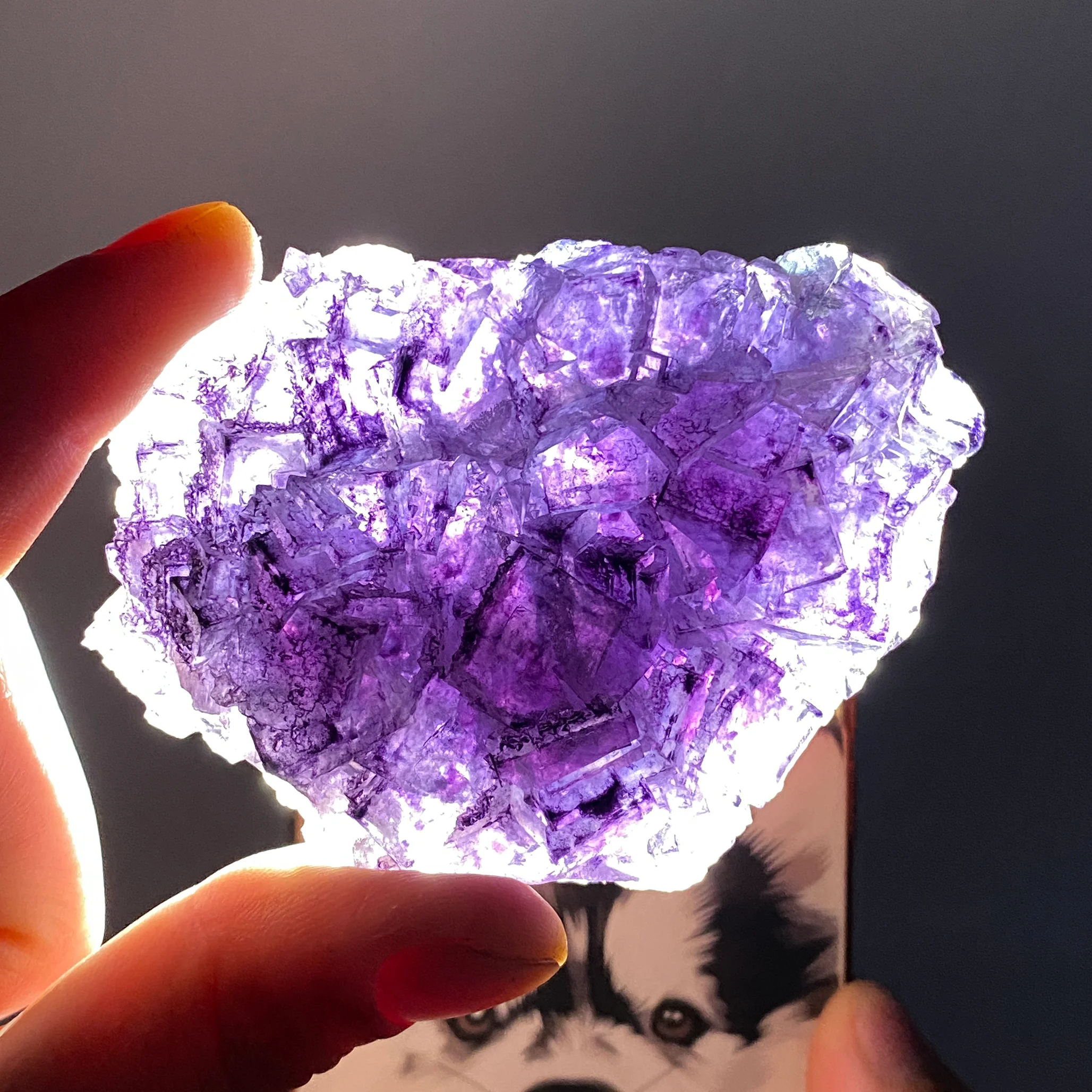 Natural Purple Fluorite Crystal Specimen for Teaching Meditation Energy Healing Home Decoration Gift Mineral Stone Sample