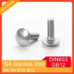 M6 M8 M10 M12 GB12 and DIN603 A2 304 Stainless Steel Truss Round Head Square Neck Carriage Bolt Coach Screw
