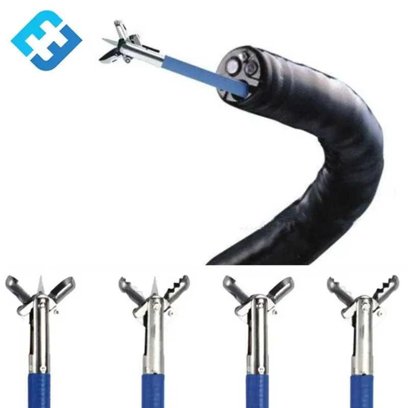 Disposable Biopsy Forceps for Vet - Factory Price Hot Selling Medical Grade Surgical Tool for Animal Care