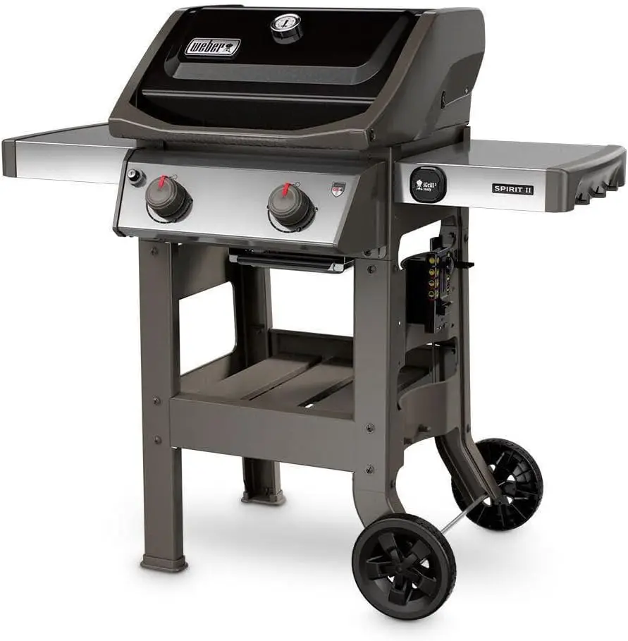 E-210 2-Burner Liquid Propane Grill, 48 x 26 x 57 inches, Black