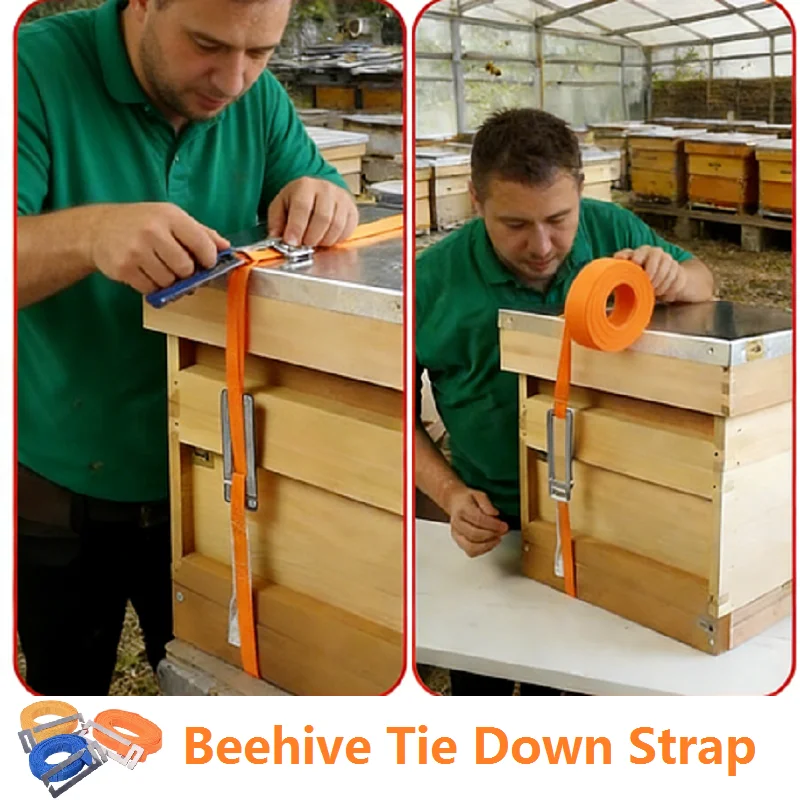 Beehive Tie Down Strap Bee Hive Strap Poly Nylon Strap Standard 5M Webbing wIth Buckle Beehive Moving Tools Beekeeping Equipment