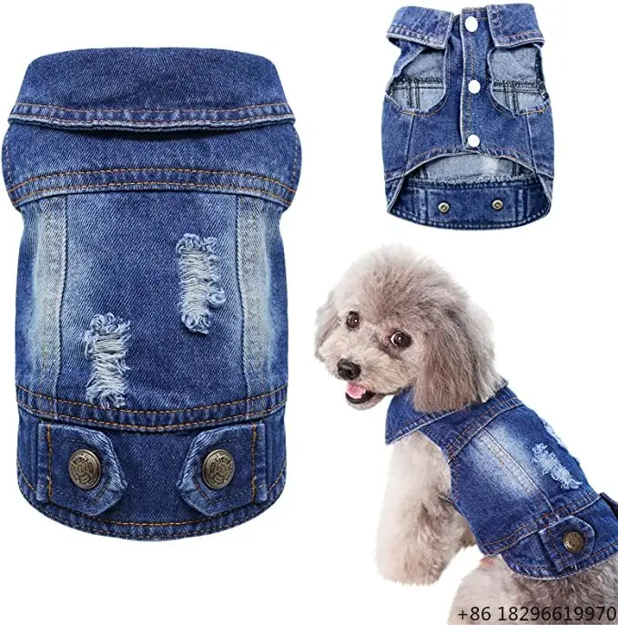 Classic Blue Denim Lapel Jacket Vintage Washed Casual Dog Jeans Outfit