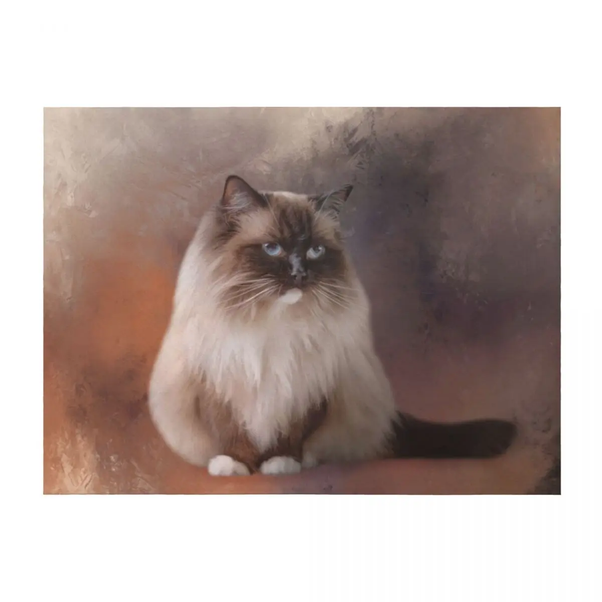 

Chocolate Point Ragdoll Cat 01 Throw Blanket Bed Fashionable Stuffeds halloween Blankets For Baby Blankets