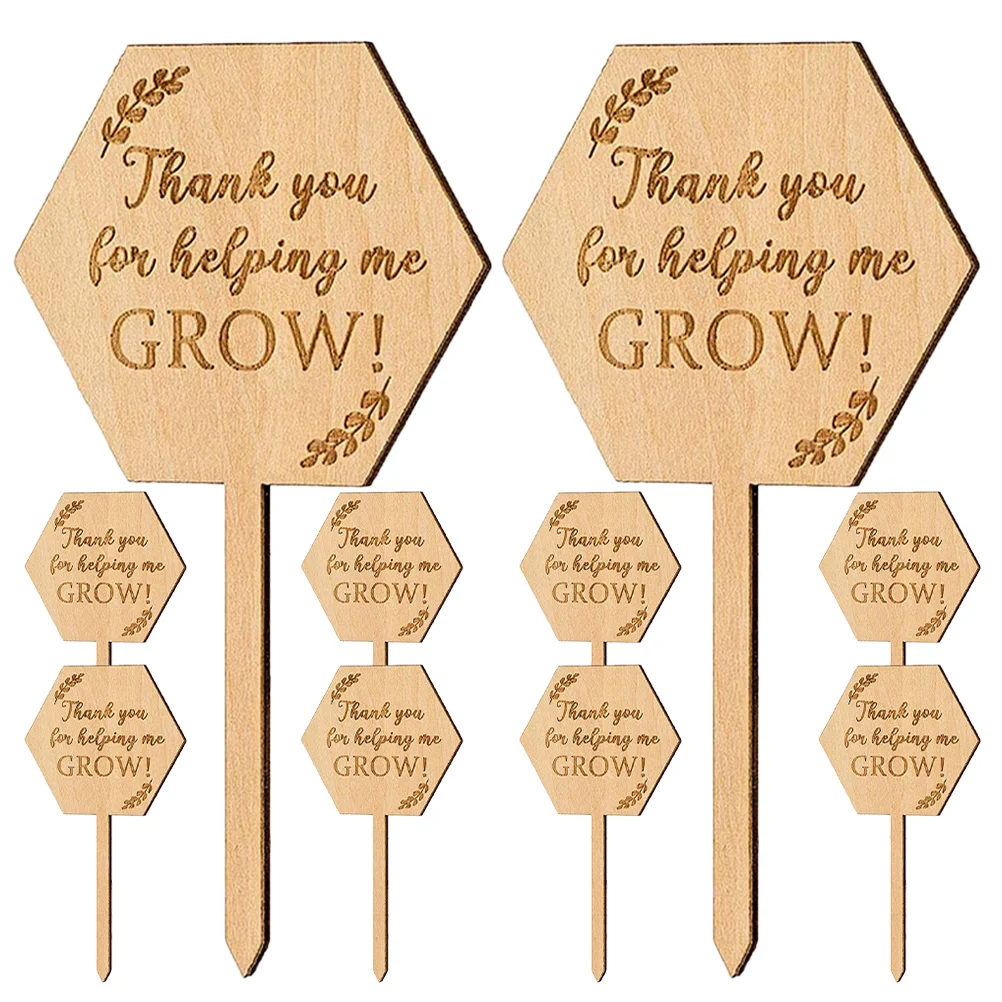 

20 Pcs Succulent Plants Tags Card Greenhouse The Sign Garden Signs for Flowers Wood