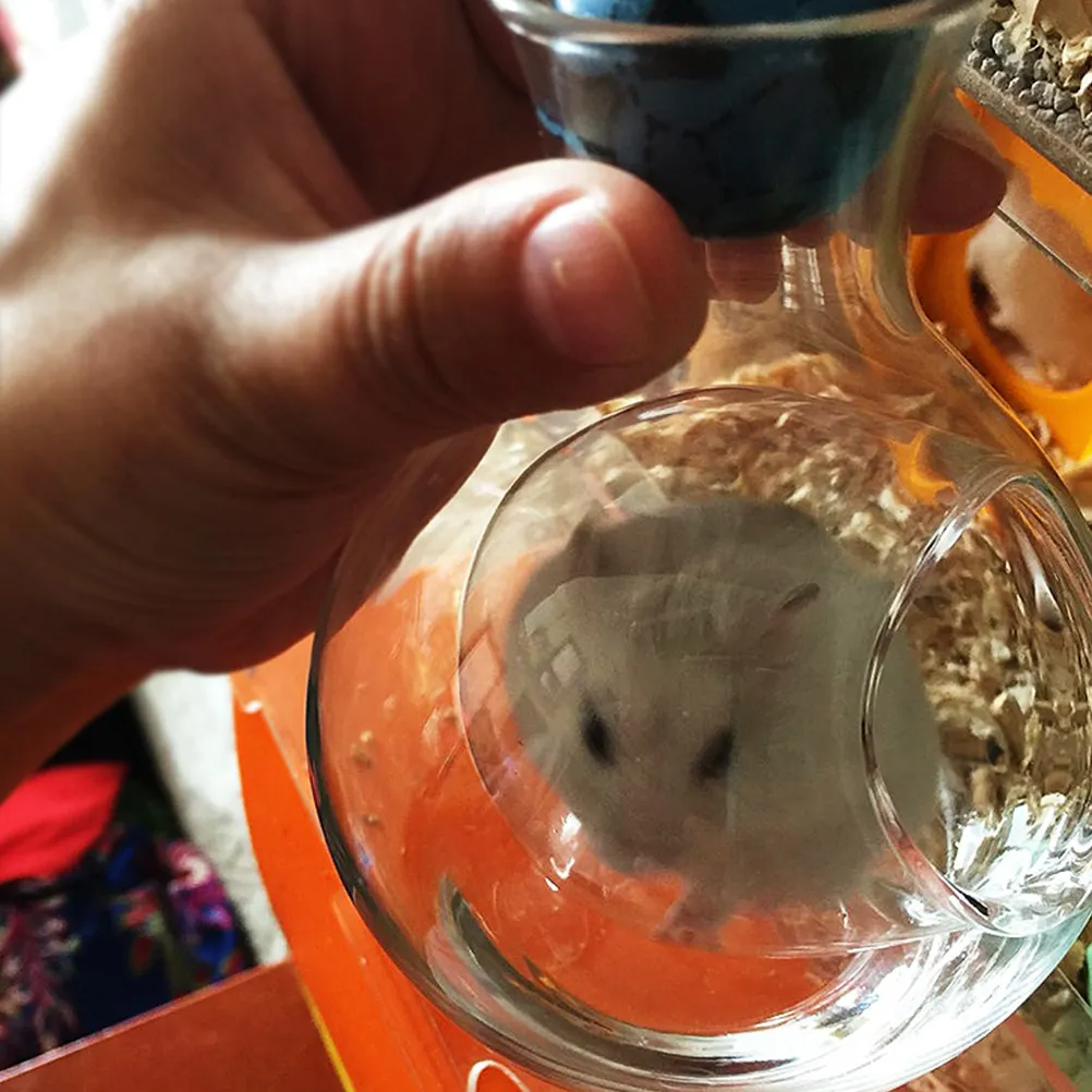 

Прозрачное стеклянное гнездо для хомяков с функцией обогрева и охлаждения, стильное, двойного назначения, с небольшим входом, идеально подходит для хомяков, белок, ежей